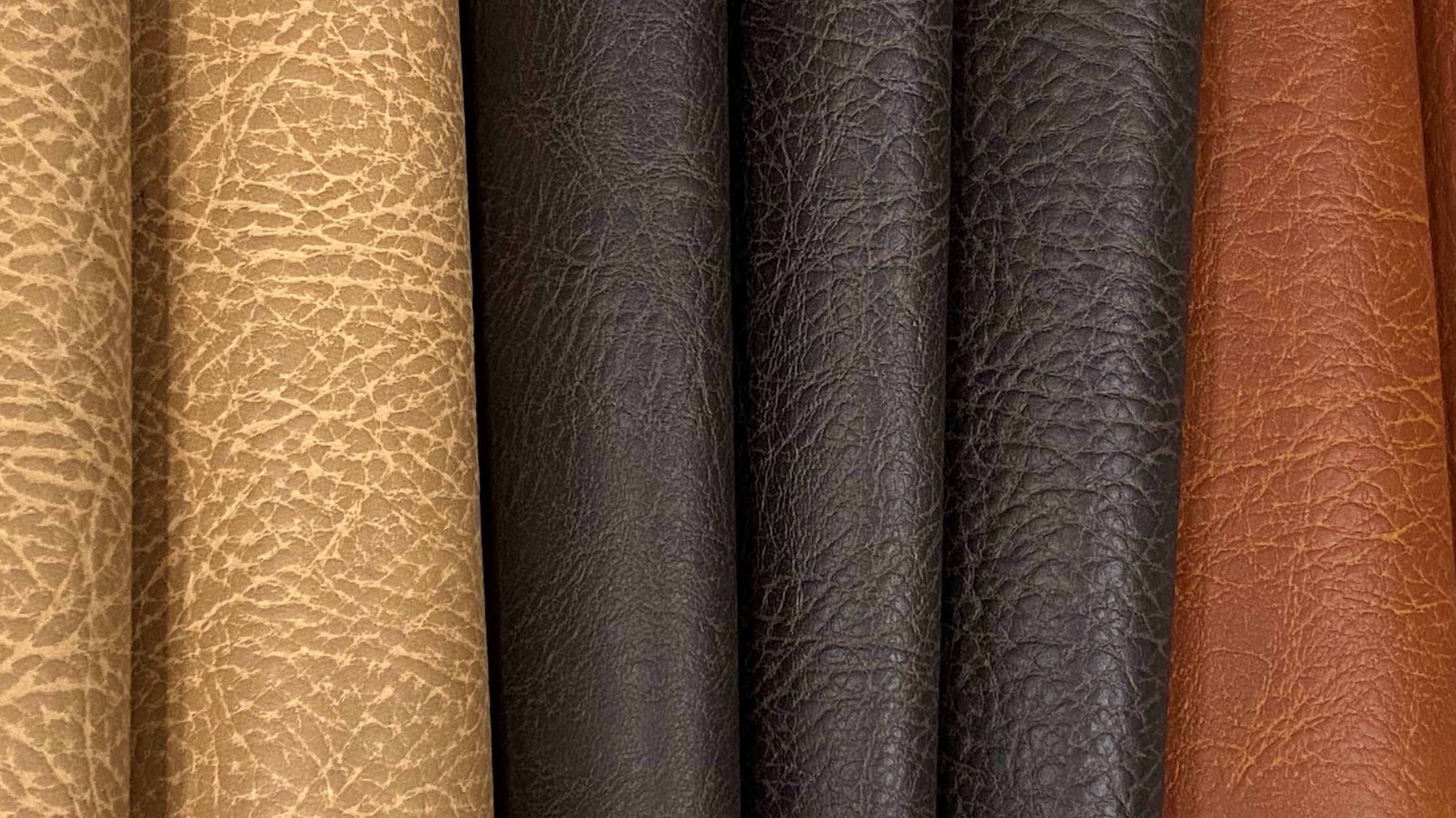 The Showdown Collection