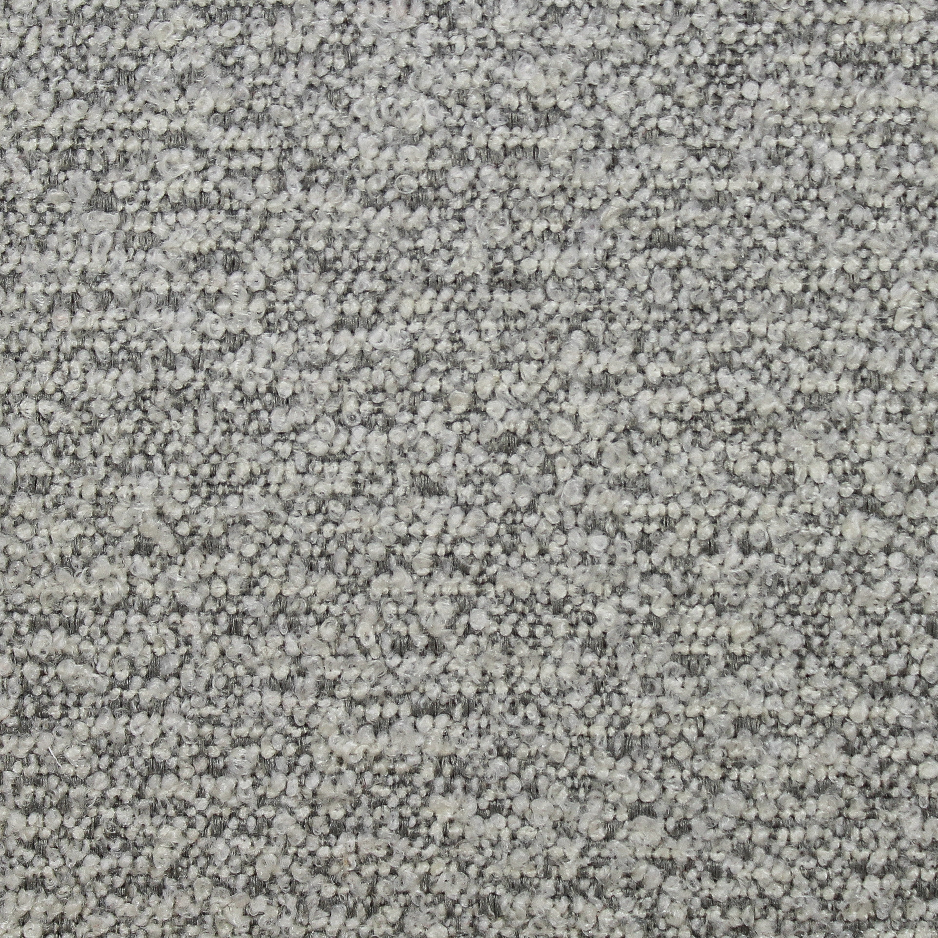 Speckle
