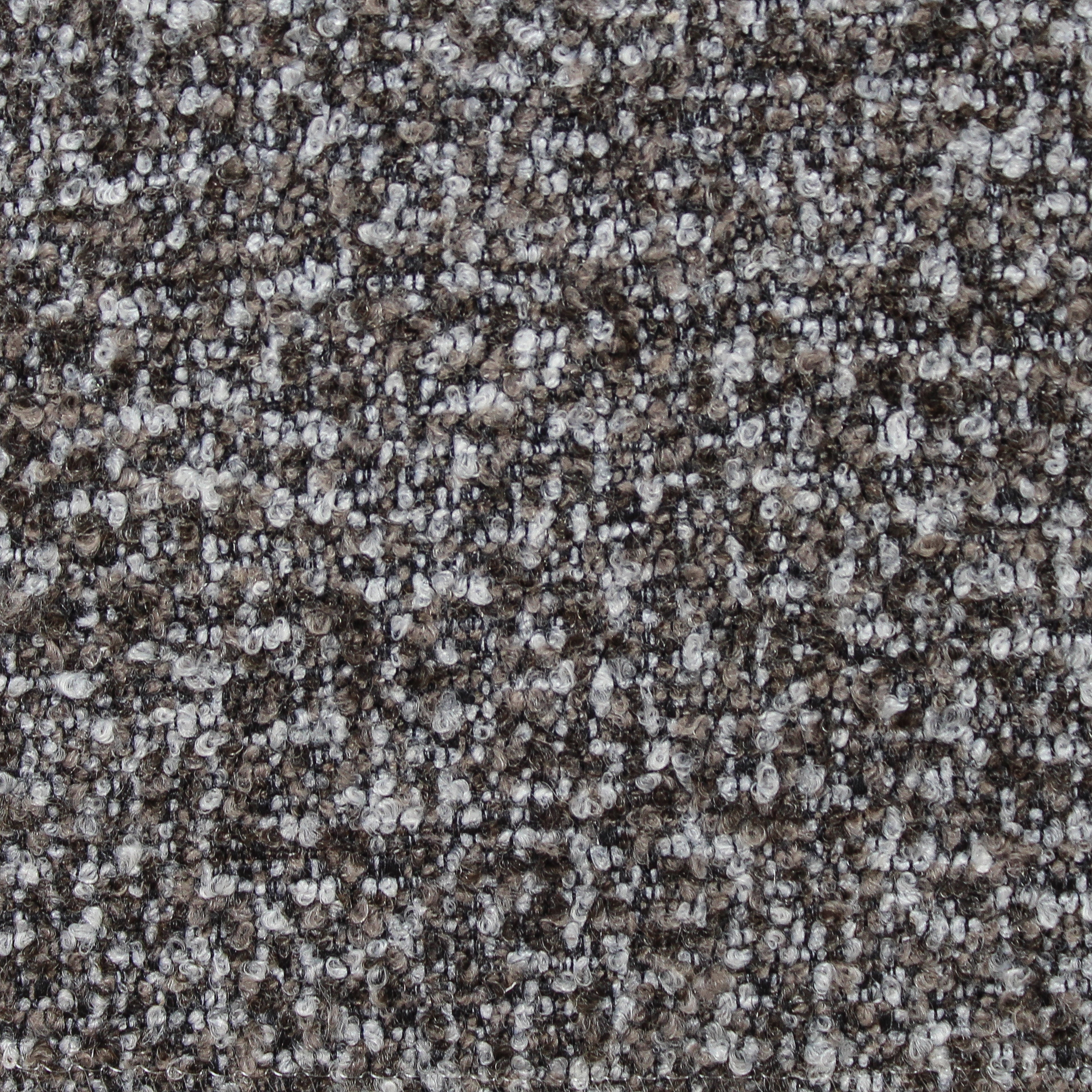 Speckle