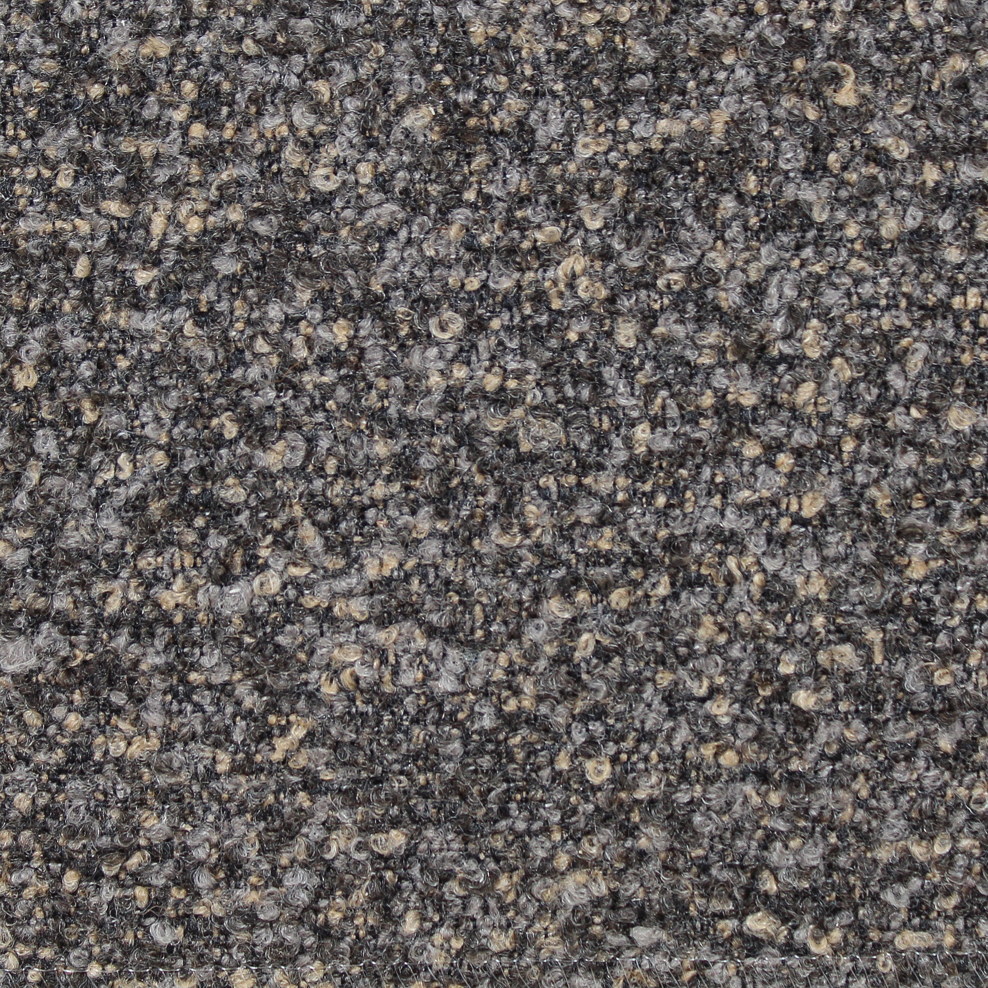 Speckle