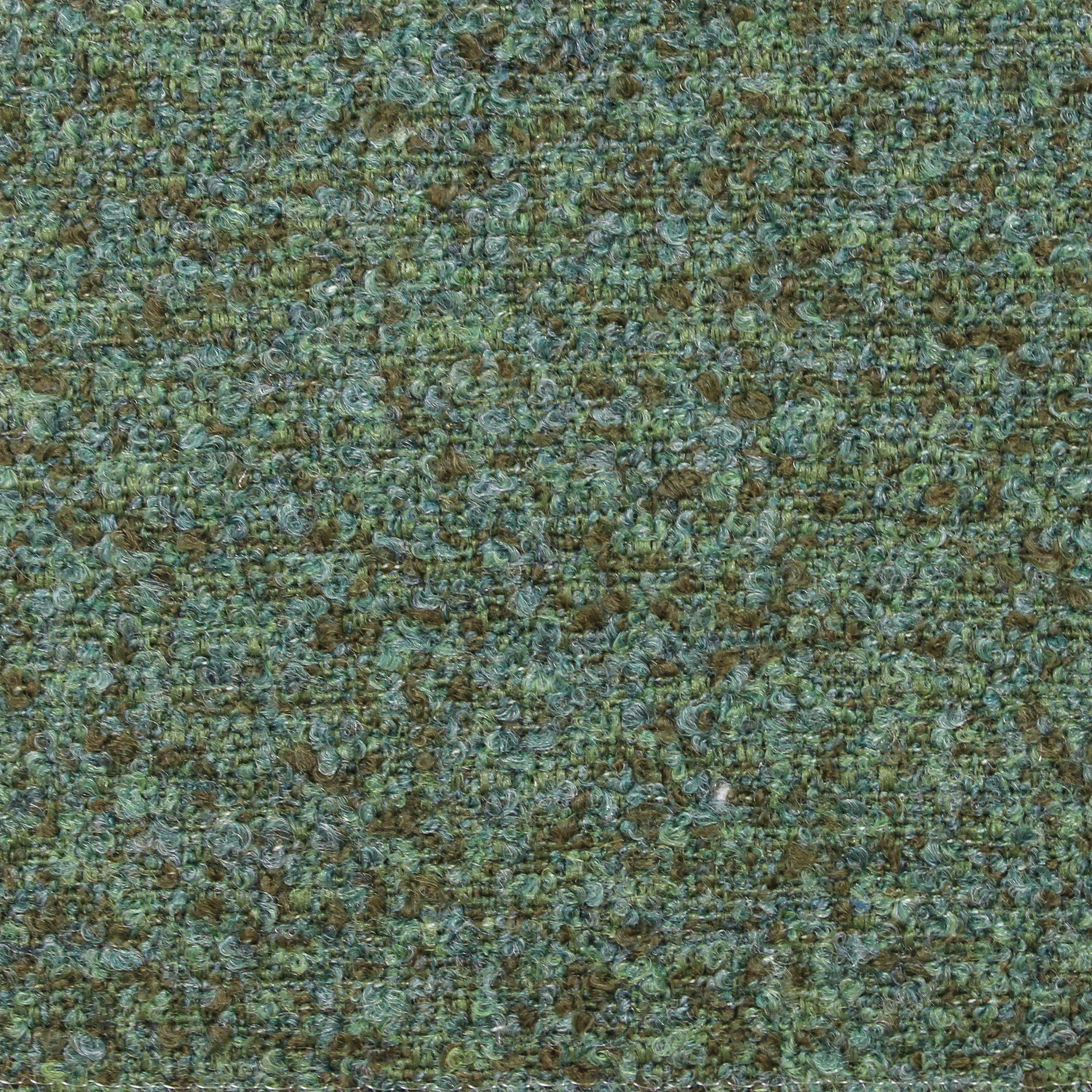 Speckle