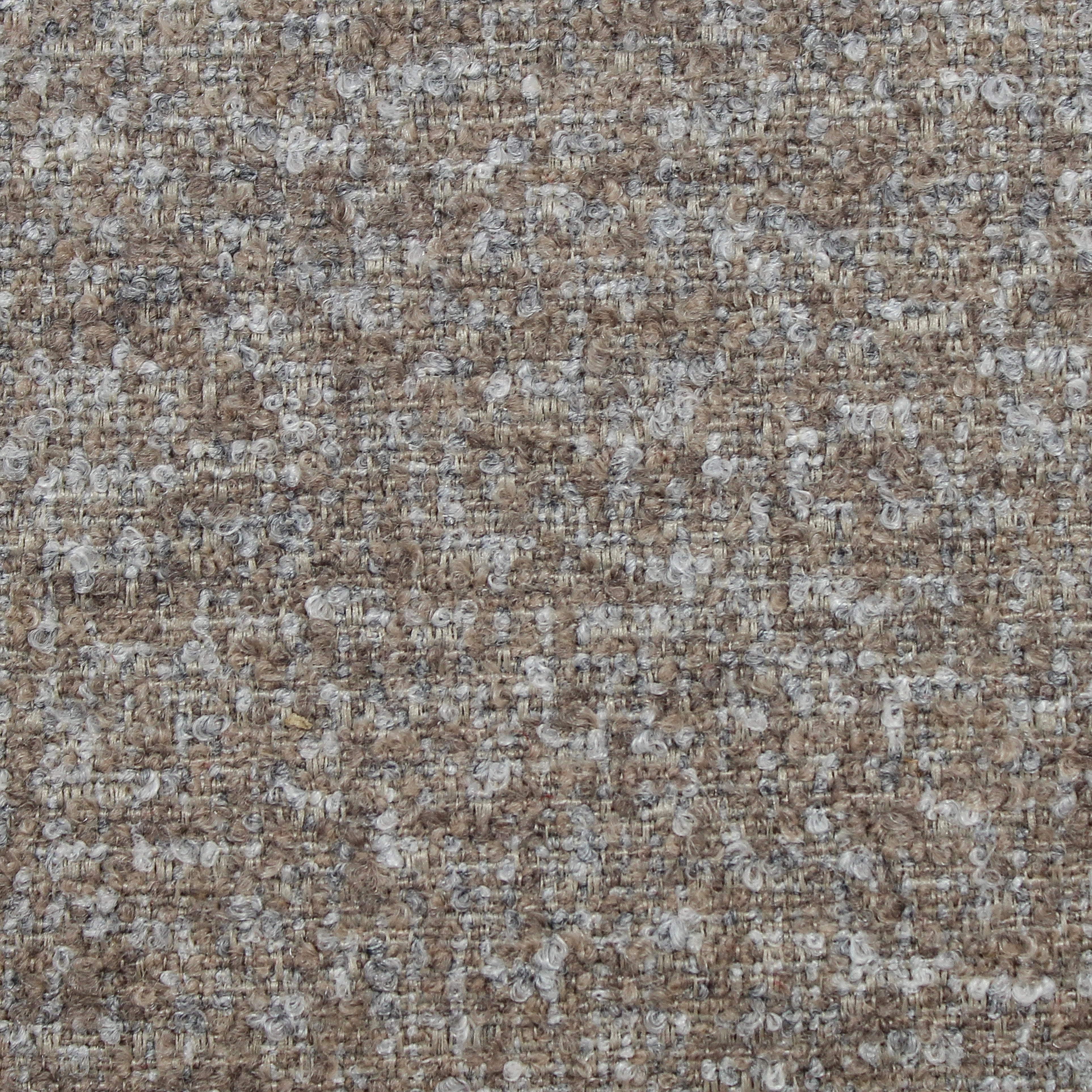 Speckle