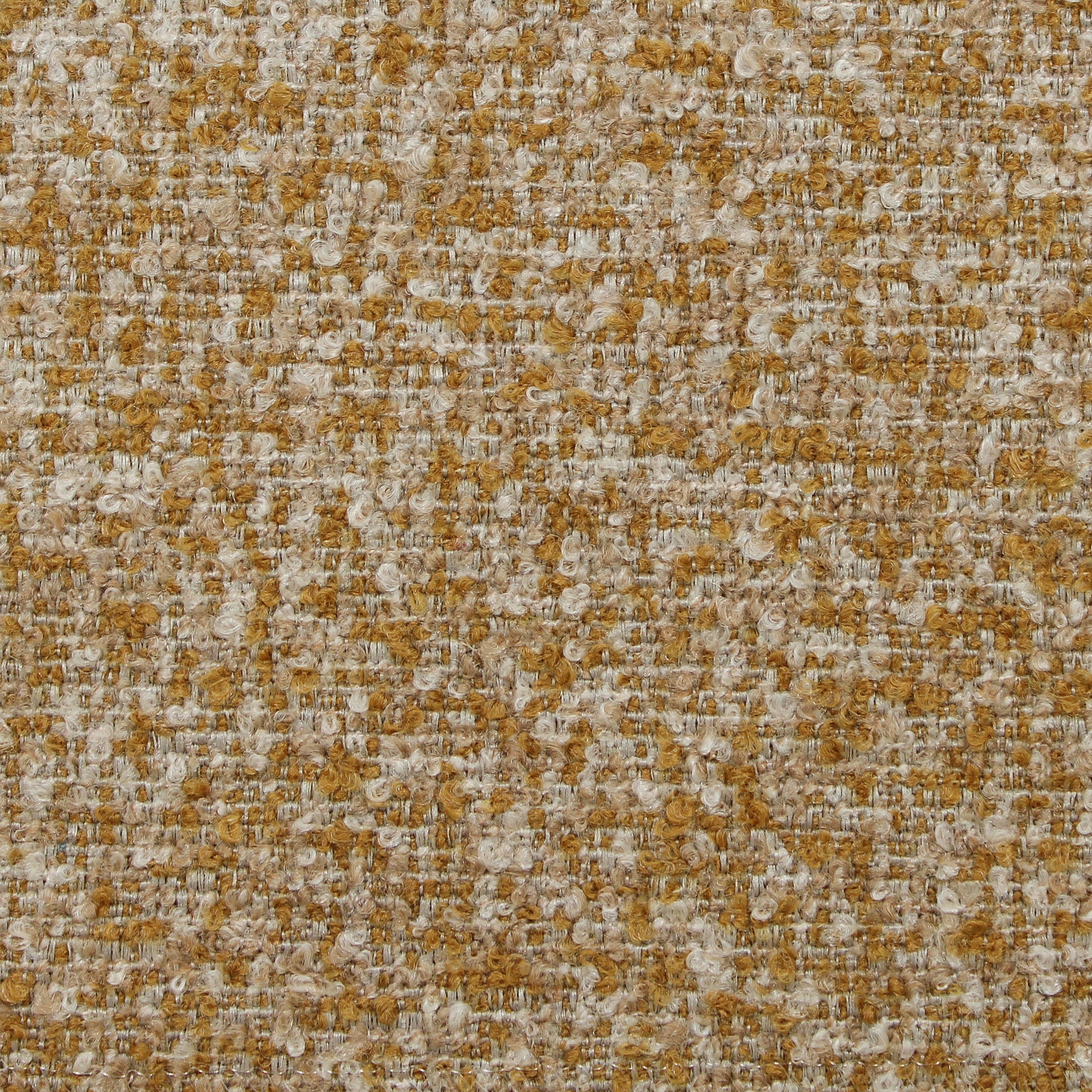 Speckle