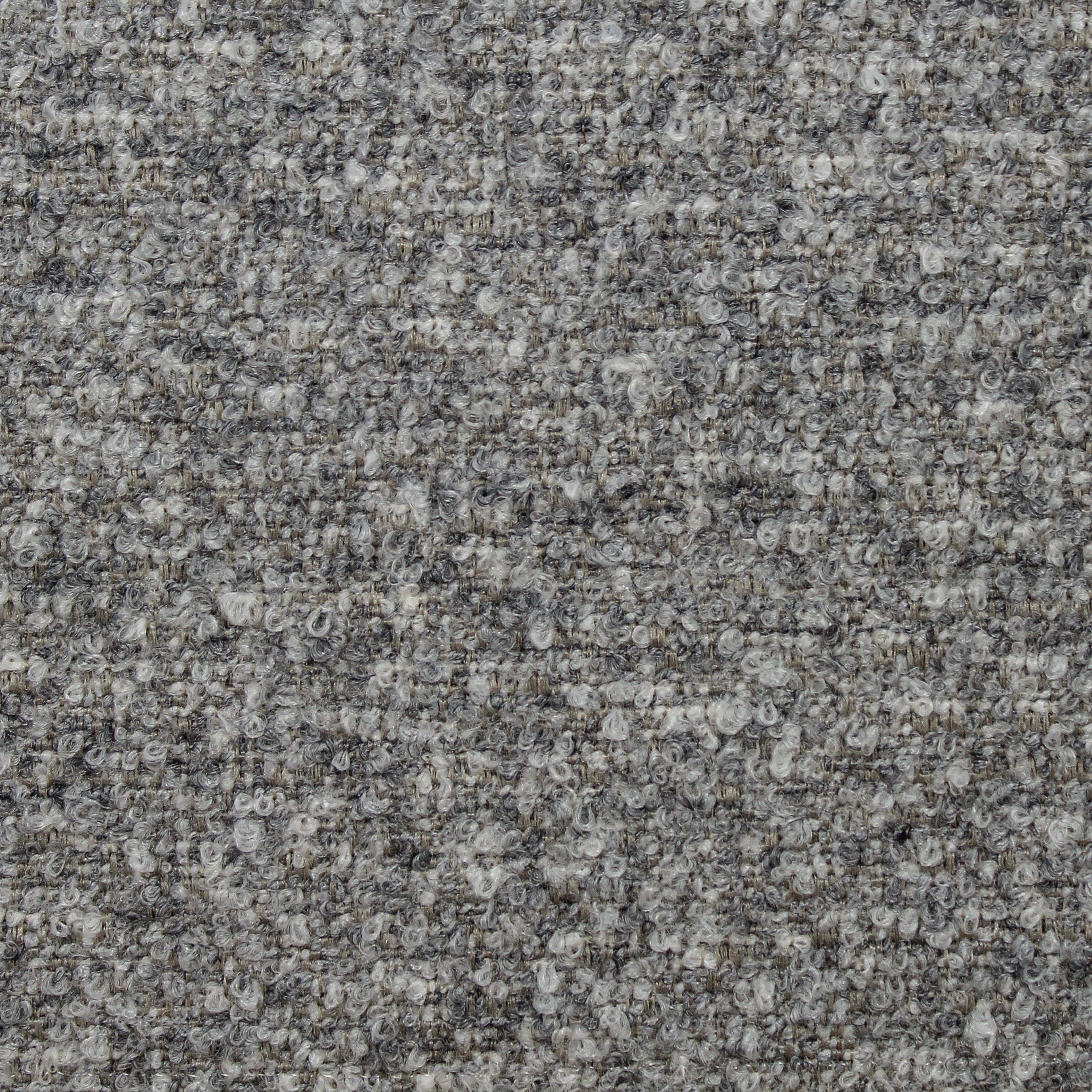 Speckle