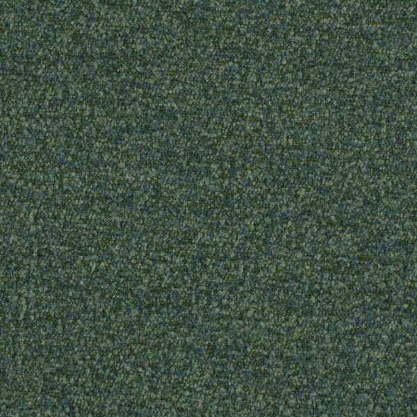 Speckle