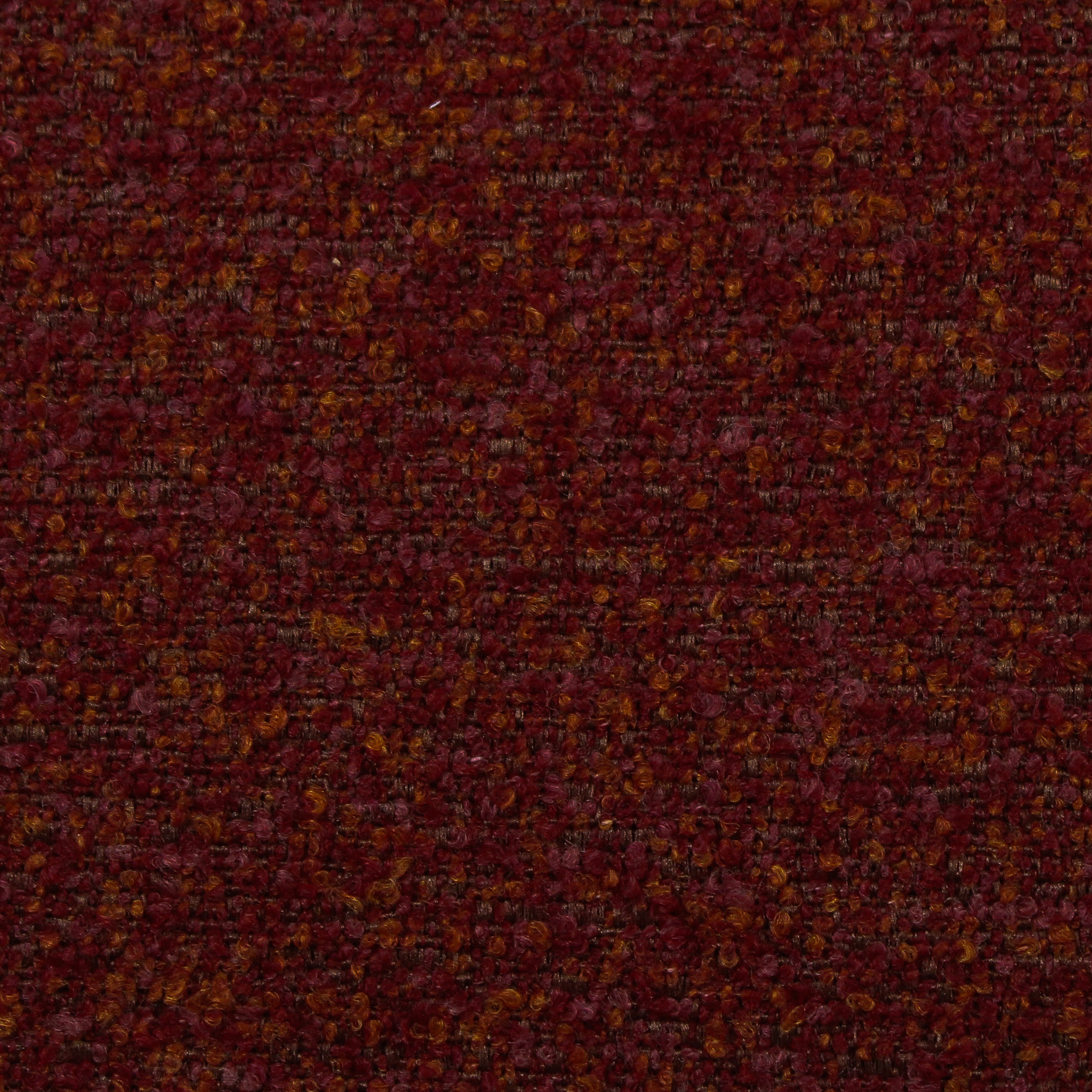 Speckle