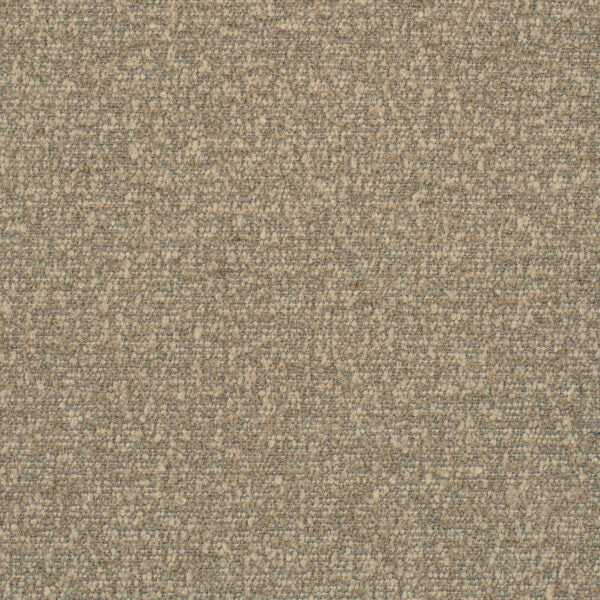 Speckle