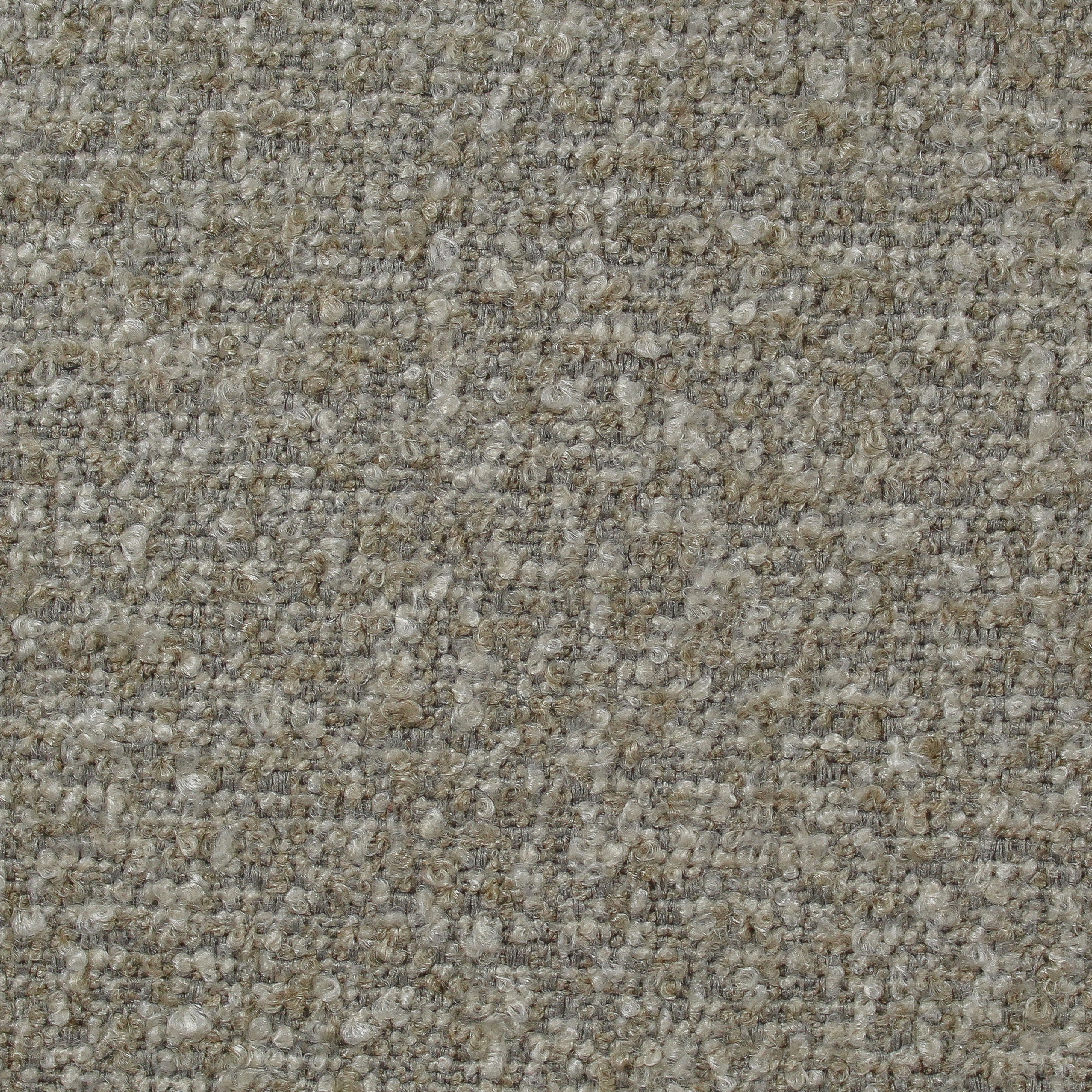 Speckle