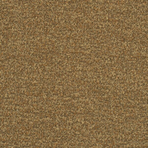 Speckle
