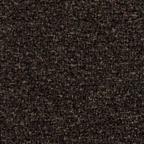 Speckle
