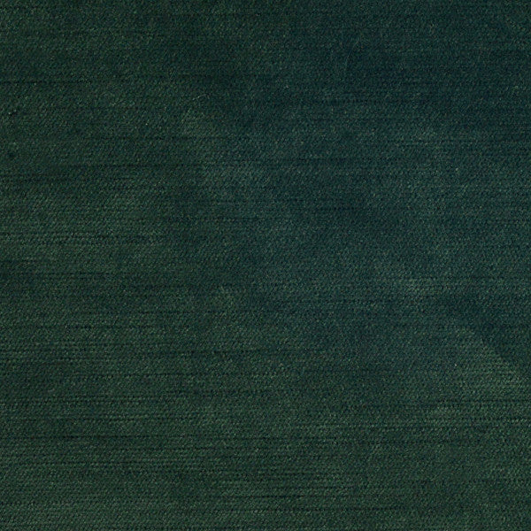 Thompson Velvet