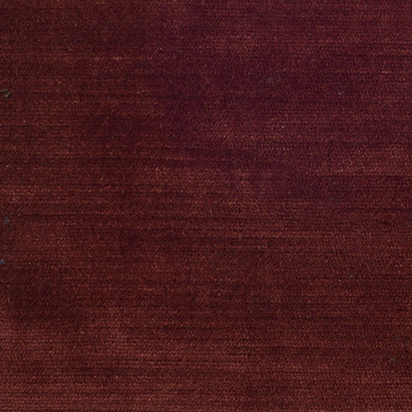 Thompson Velvet