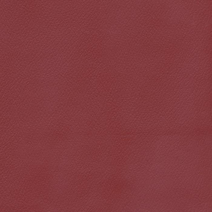 Patriot Plus