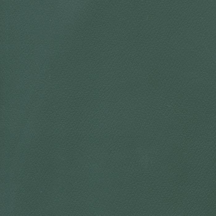 Patriot Plus