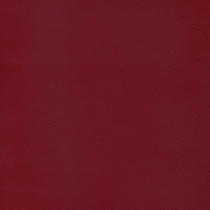 Patriot Plus