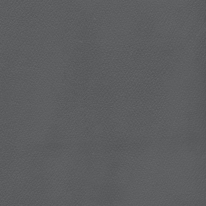 Patriot Plus