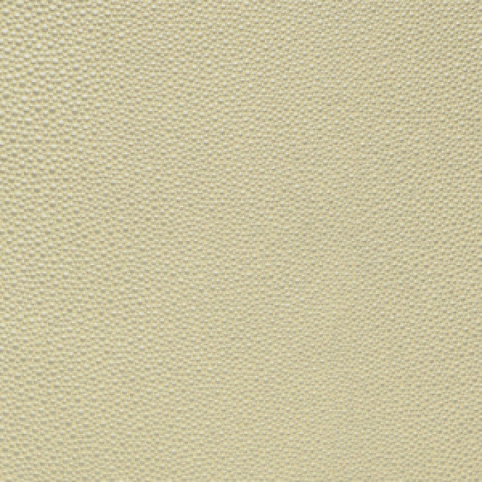 Shagreen