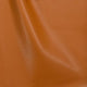 Volta