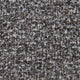 Speckle