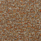 Speckle