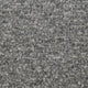 Speckle