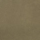 Shagreen