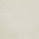 Shagreen