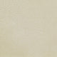 Shagreen