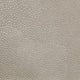 Shagreen