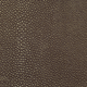 Shagreen