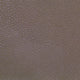 Shagreen