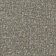 Speckle