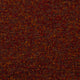 Speckle