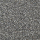 Speckle