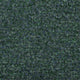 Speckle