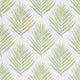 Royal Palm