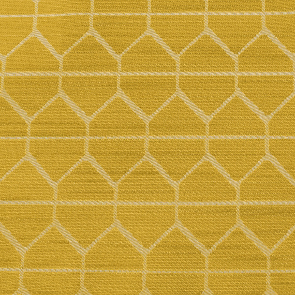 Hive