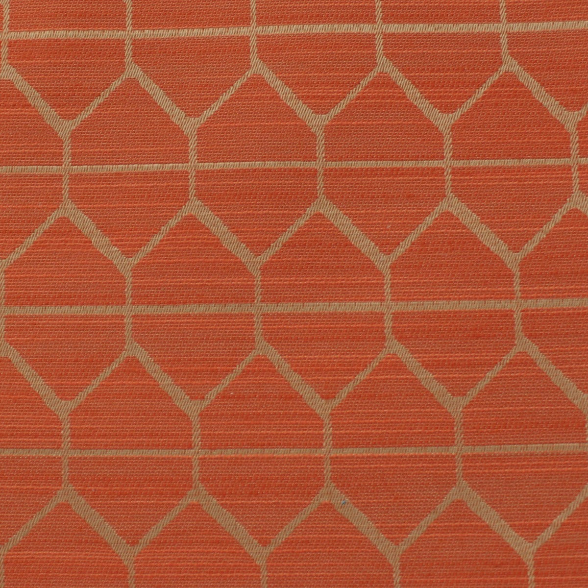 Hive