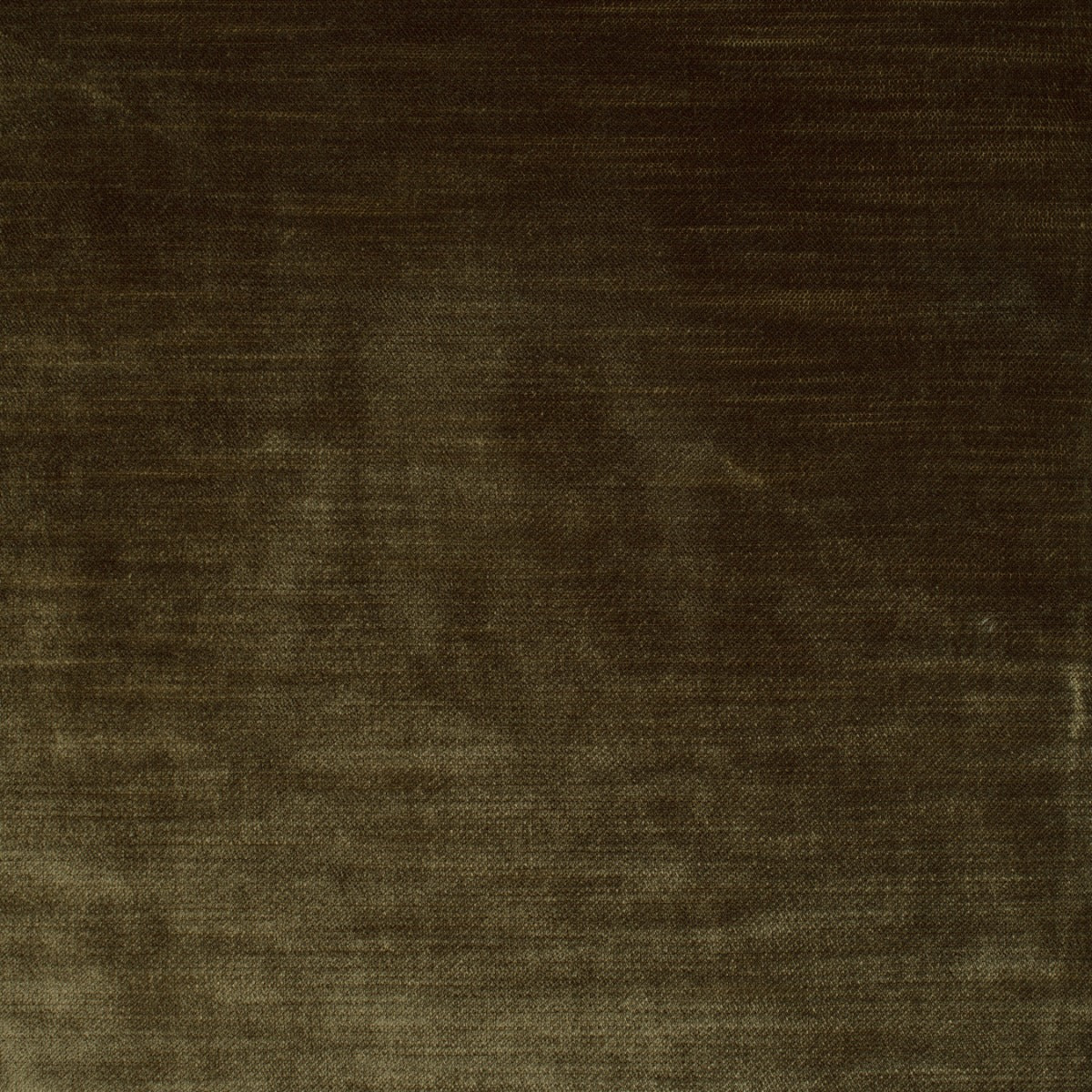 Luxe Velvet