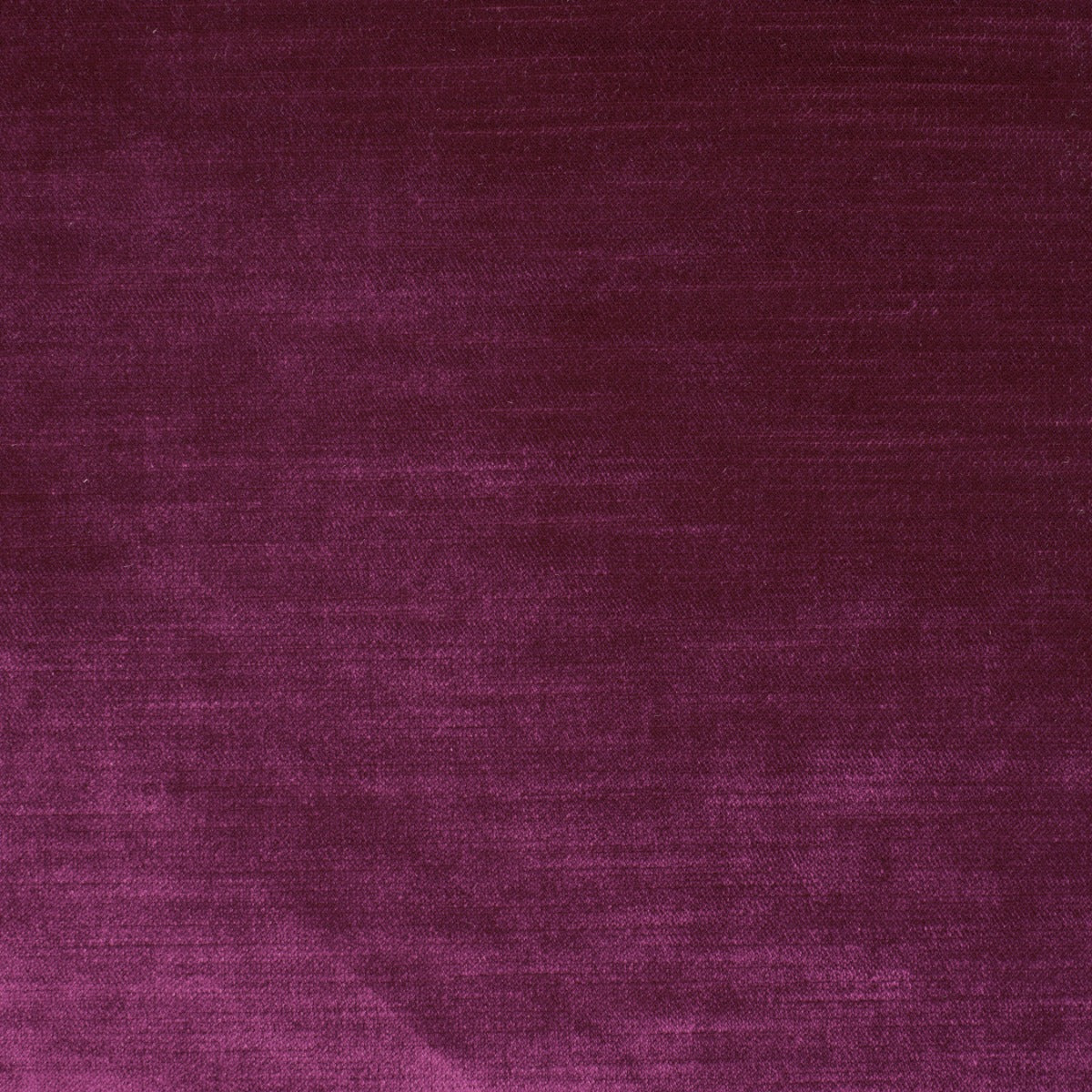 Luxe Velvet